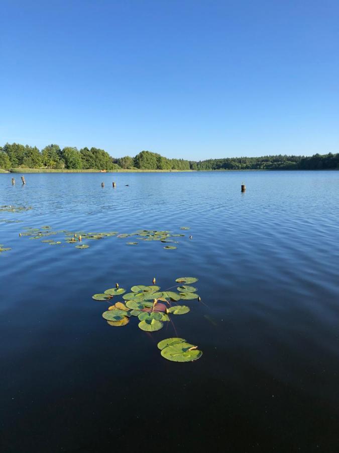 5 Sterne-Ferienhaus Eisvogel Am See Mit Sauna Und Kamin كراكو آم زيه المظهر الخارجي الصورة